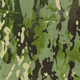 Coverking Multicam Camo Tactical Seat Covers