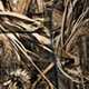 Coverking RealTree Camo Seat Covers