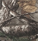 Coverking RealTree Camo Seat Covers