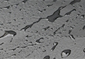 Image is representative of Coverking Rhinohide Seat Covers.<br/>Due to variations in monitor settings and differences in vehicle models, your specific part number (CSCRH3SN9236) may vary.