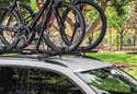 Image is representative of Rhino-Rack Hybrid Roof Mount Bike Rack.<br/>Due to variations in monitor settings and differences in vehicle models, your specific part number (RBC050) may vary.